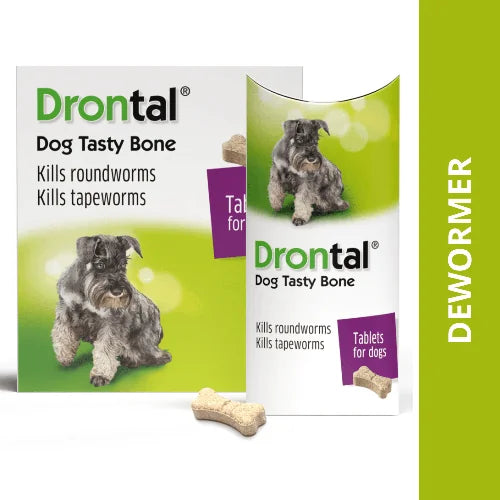 Drontal Plus Tablet (1 Strip Tabs) - Main Image