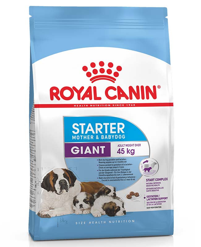 After Giving Birth Food For Mother Dog Royal Canin Giant Starter