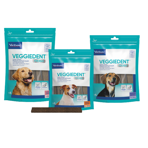Veggiedent fr3sh online