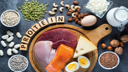 Why Your Dog Needs Protein? - Benefits & Best Sources of Protein for Dogs